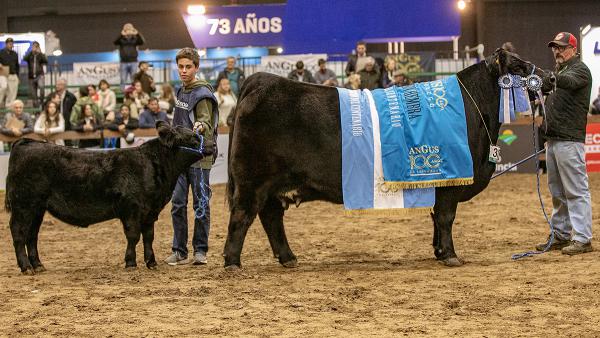Gran-Campeon-Hembra-Centenario.-Foto-Ale-Alvarez-600x338