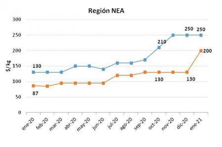 figura_4_ene_21-450x299