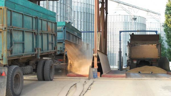 depositphotos_217579214-stock-photo-grain-trucks-dumping-grain