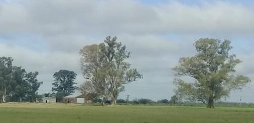 AA