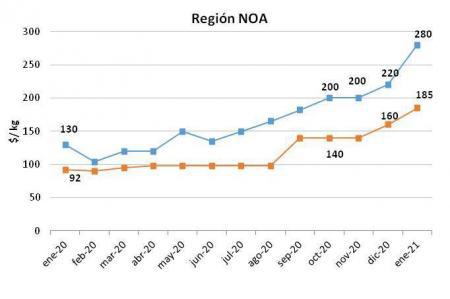 figura_3_ene_21-450x299