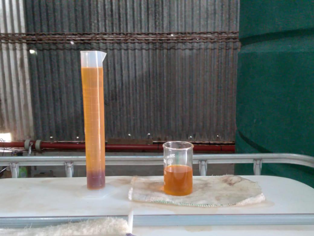 WhatsApp Image 2021-03-19 at 16.28.28 (5)