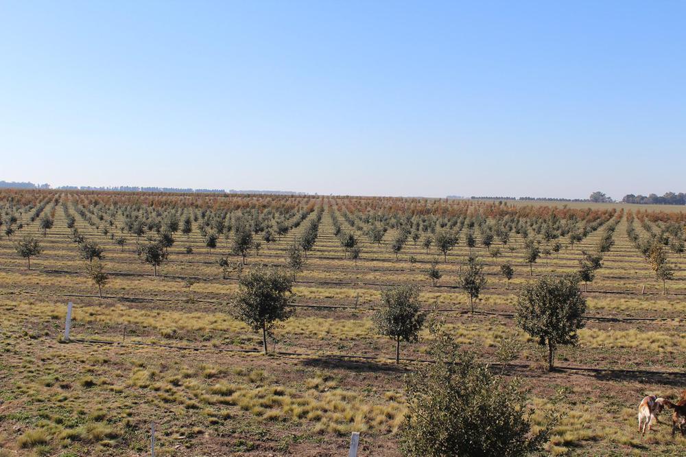 103530477_2786862674758038_7143271821260815722_o