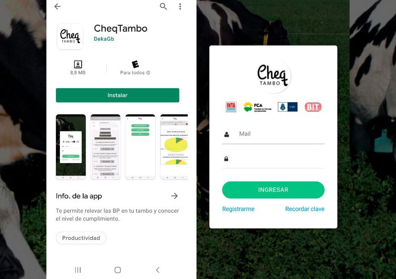 cheqTambo-app-android