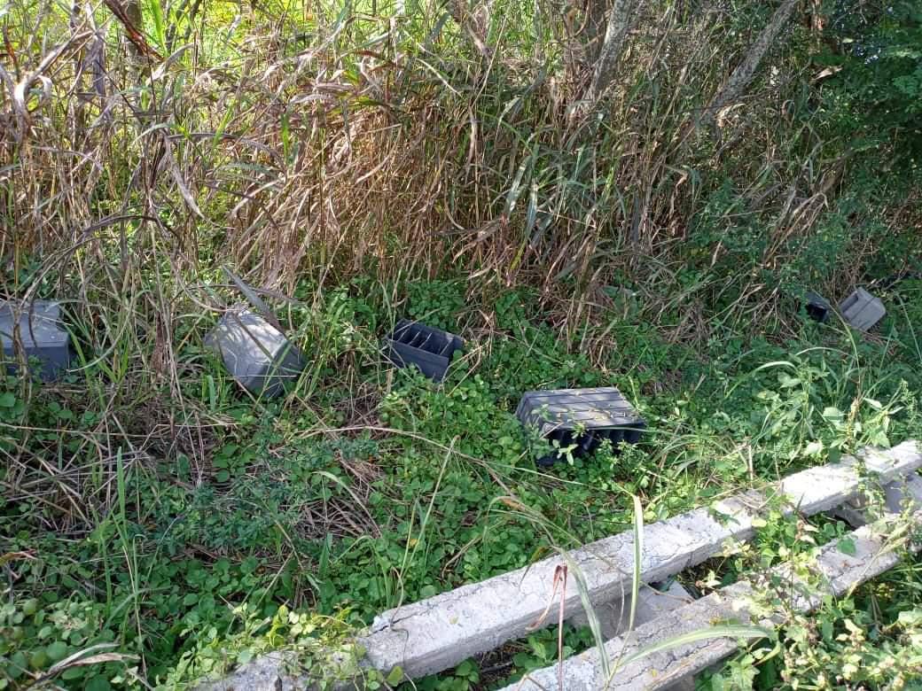 WhatsApp Image 2021-05-17 at 20.52.43