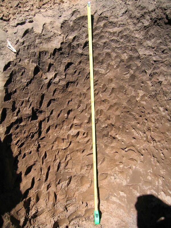 suelos-3-rotated-e1657119289627