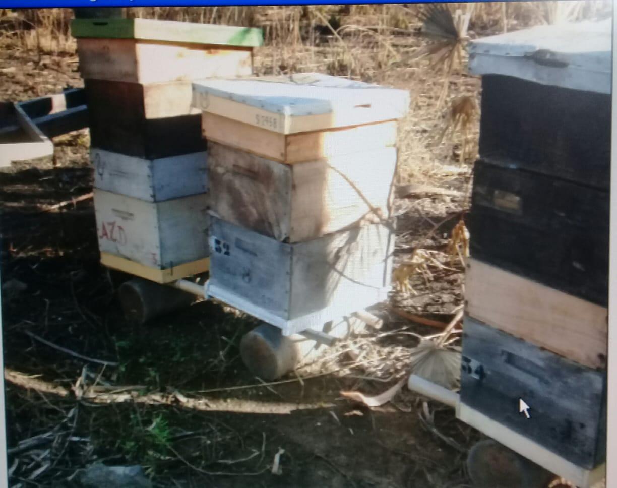 WhatsApp Image 2020-09-08 at 20.11.55