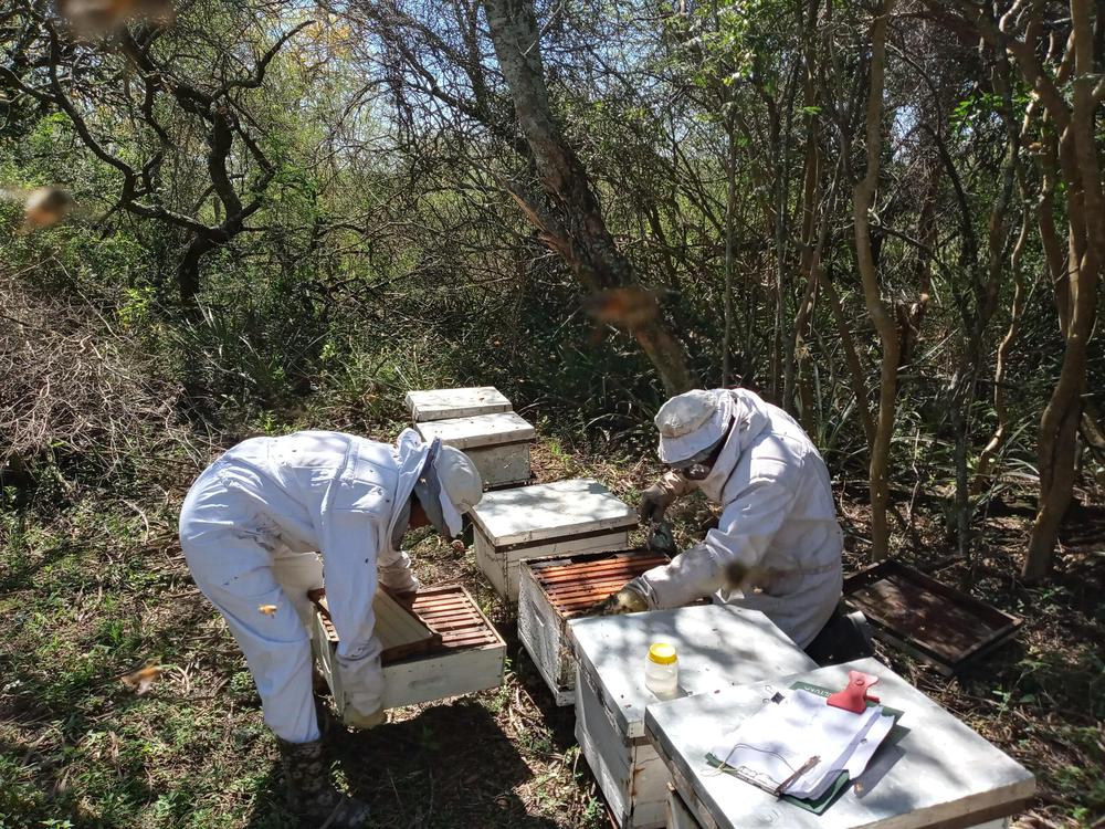 20210914_131636_HDR-scaled (1)