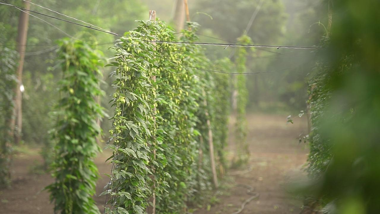 WhatsApp Image 2021-03-23 at 17.15.19 (1)