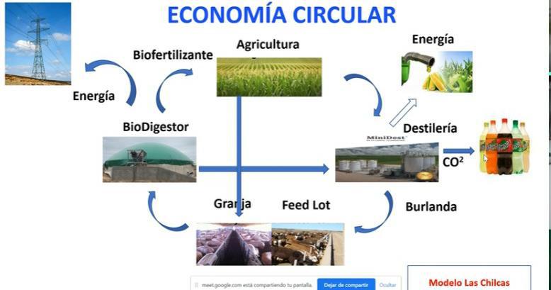 WhatsApp Image 2020-09-29 at 18.55.07