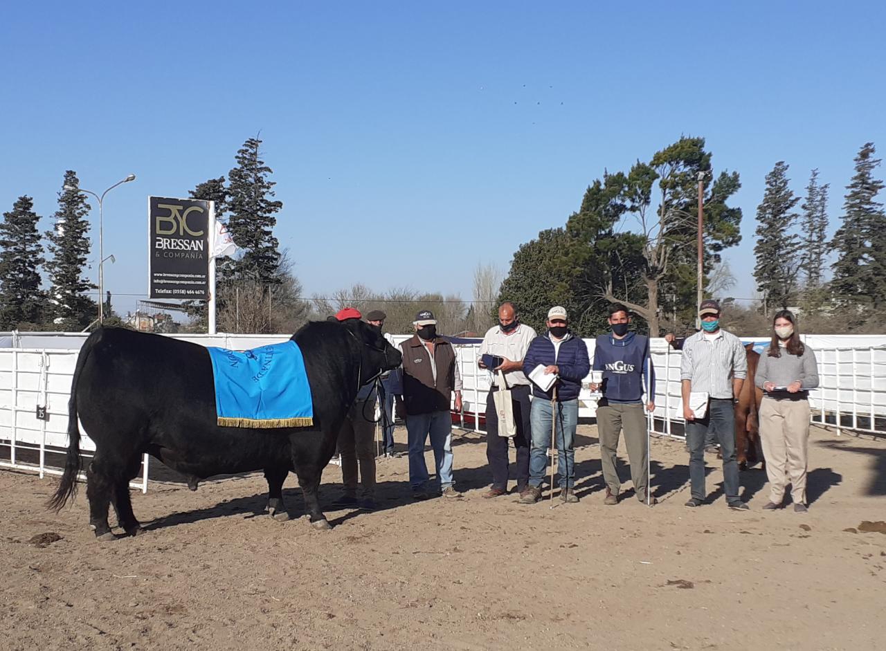 WhatsApp Image 2020-08-28 at 19.40.53