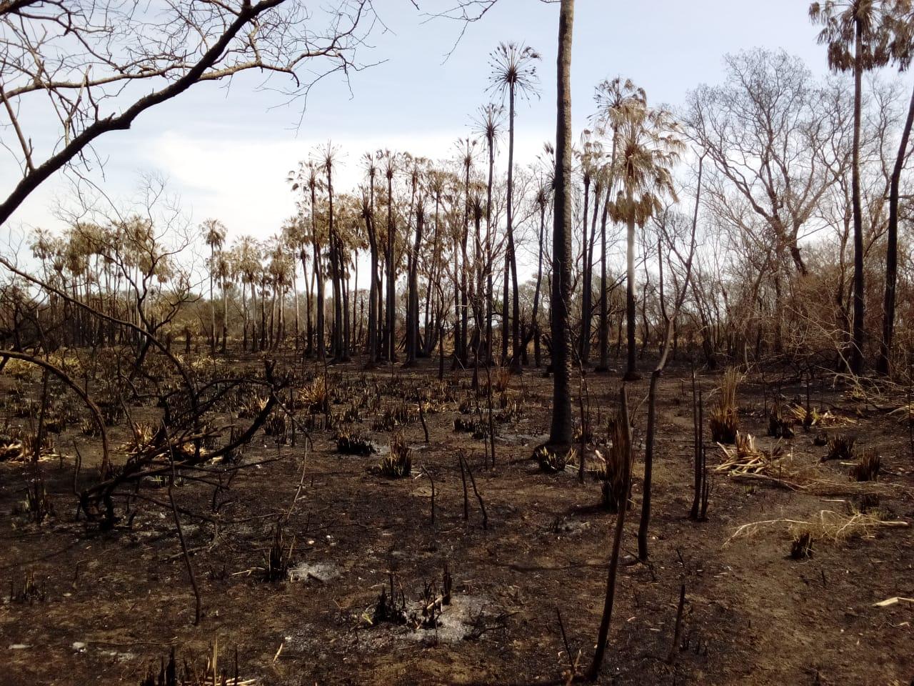 17a2886c-3a07-4149-8dba-2947db5b9dd2