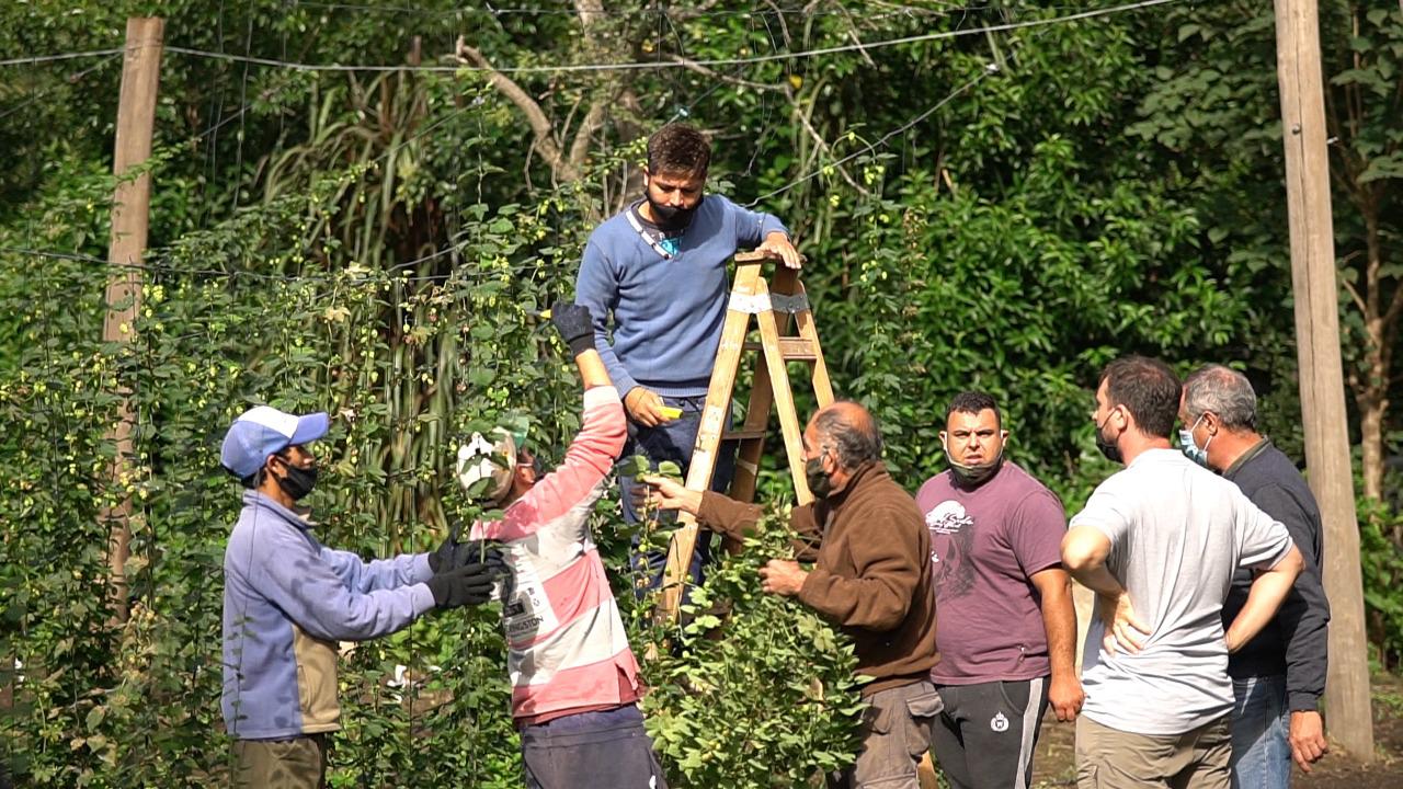 WhatsApp Image 2021-03-23 at 17.15.19