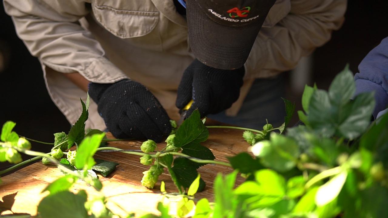 WhatsApp Image 2021-03-23 at 17.15.19 (2)