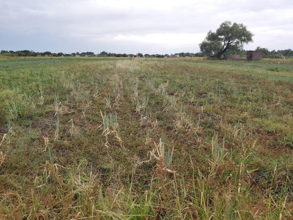 WhatsApp Image 2022-01-20 at 18.16.24