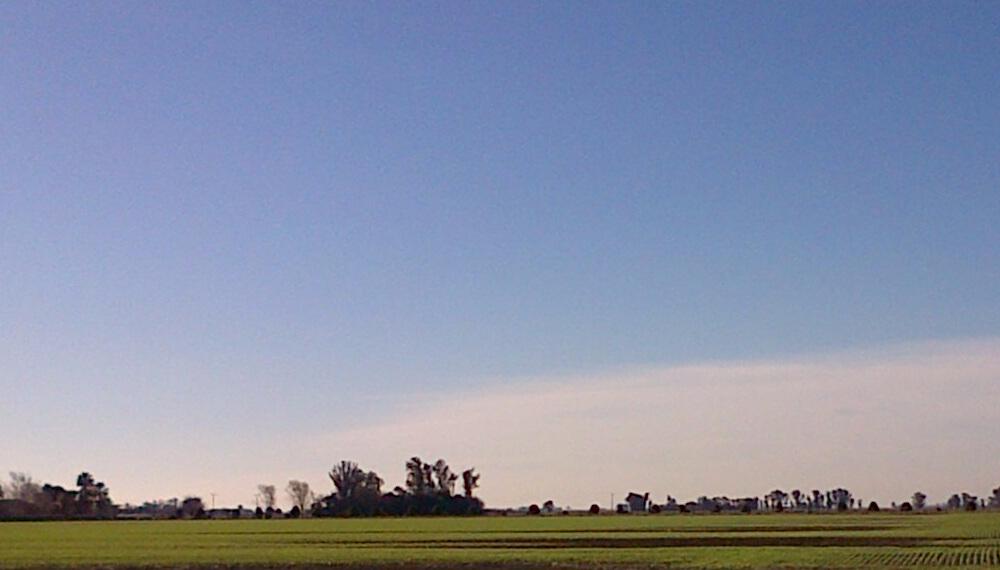Cielo-Trigo-Clima
