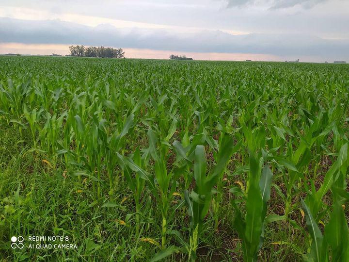 142650298_234901561570788_8018353754686412956_n