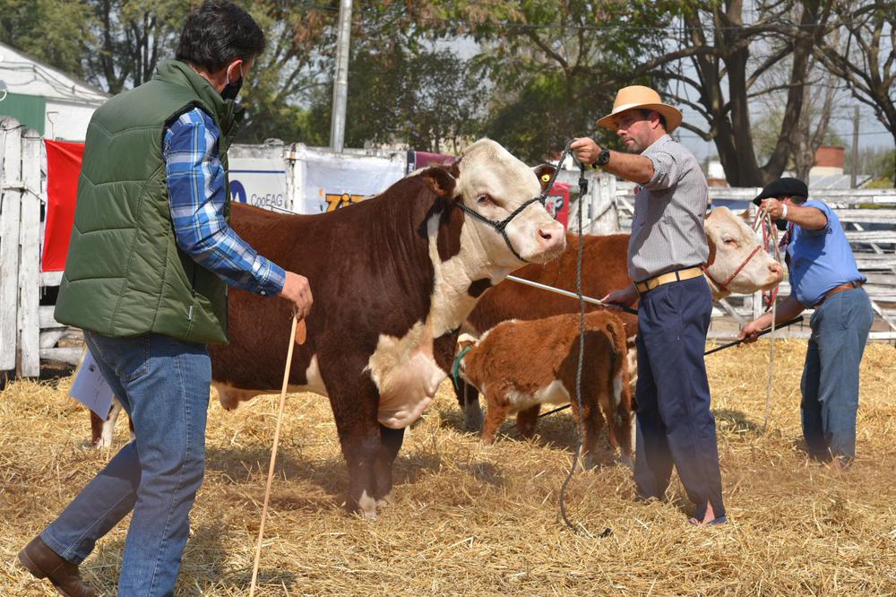 Expo Rural de San Justo_1