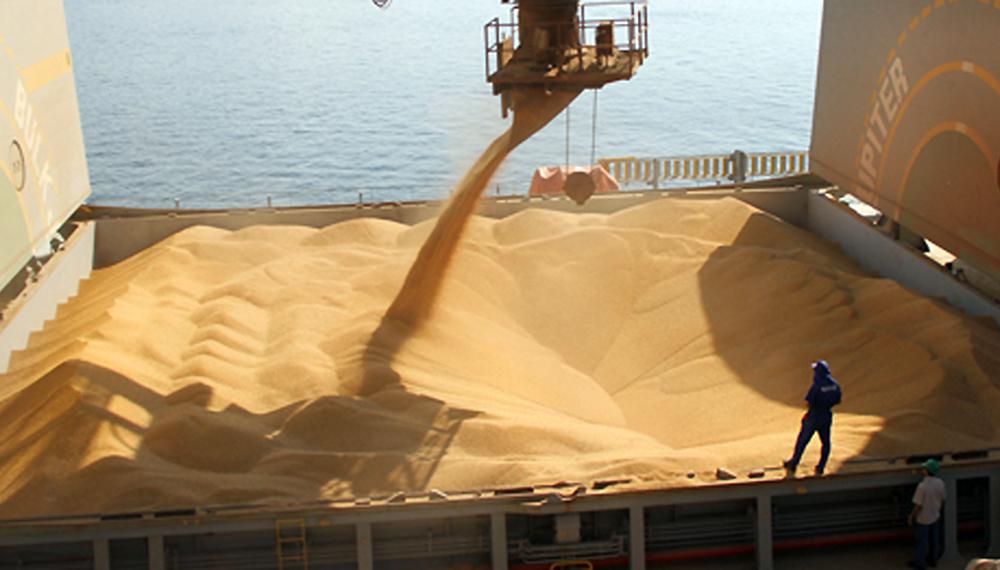 exportaciones