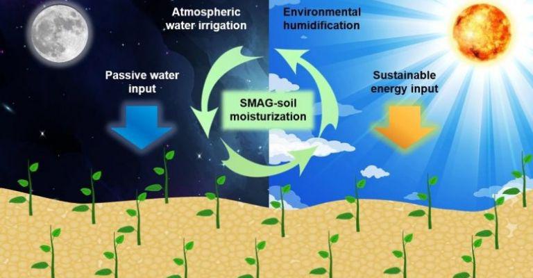 f768x400-1034_44937_5050