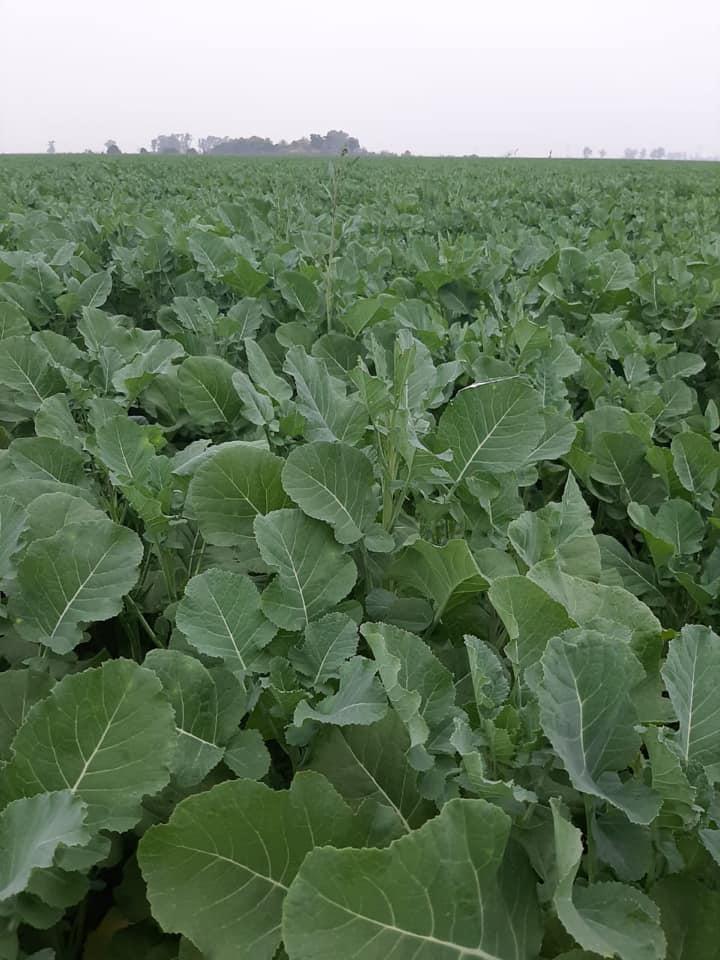 116264712_2713374978939727_4964649738295226396_n