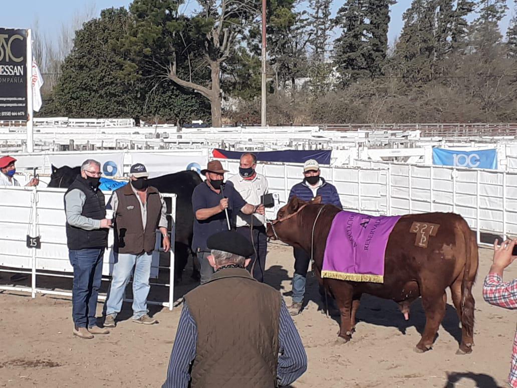 WhatsApp Image 2020-08-28 at 19.40.53 (1)