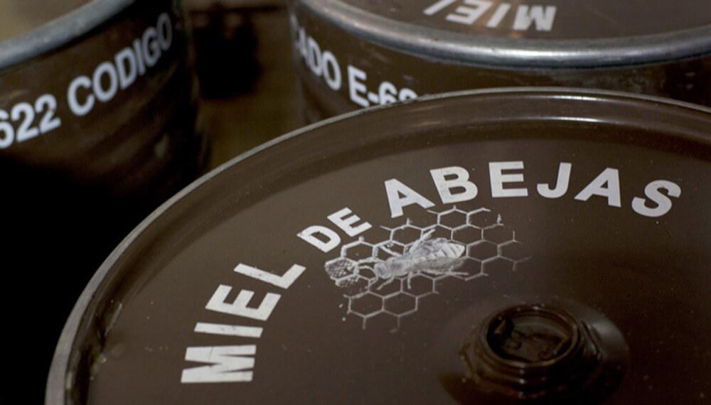 miel-abejas-tambor
