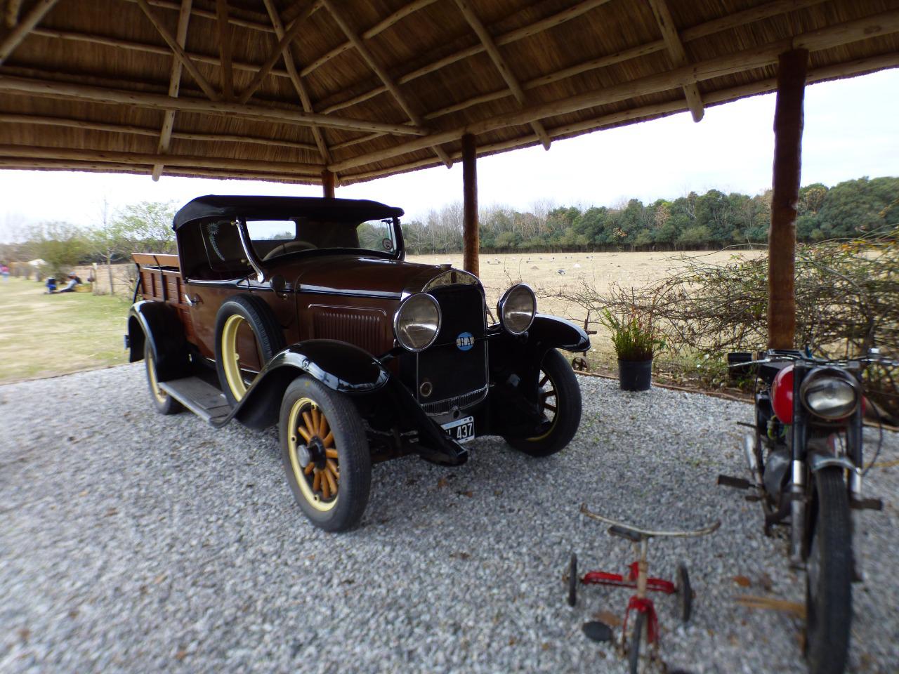 WhatsApp Image 2022-07-10 at 3.57.40 PM (1)