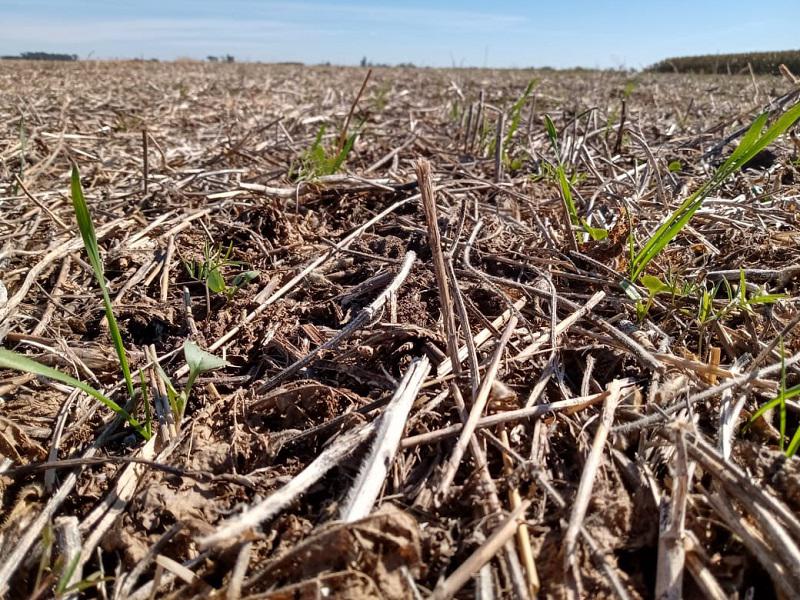 WhatsApp-Image-2021-11-06-at-13.22.46