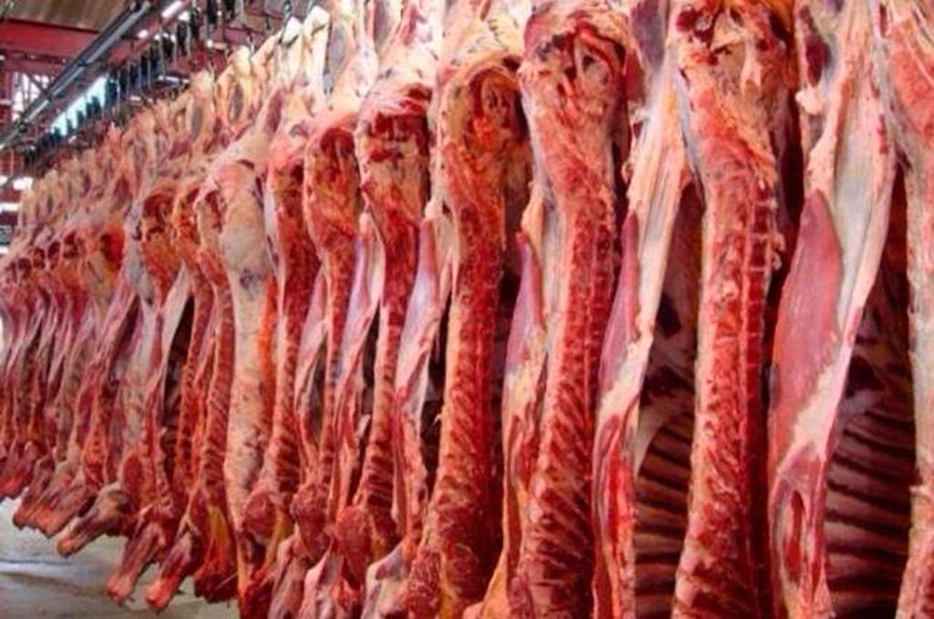 Carne-2-Diario-somos