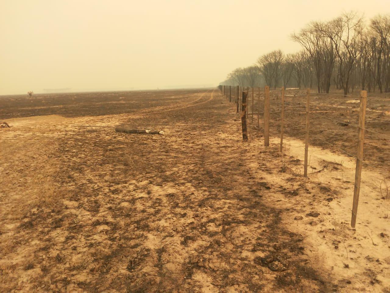 WhatsApp Image 2020-10-01 at 22.35.04