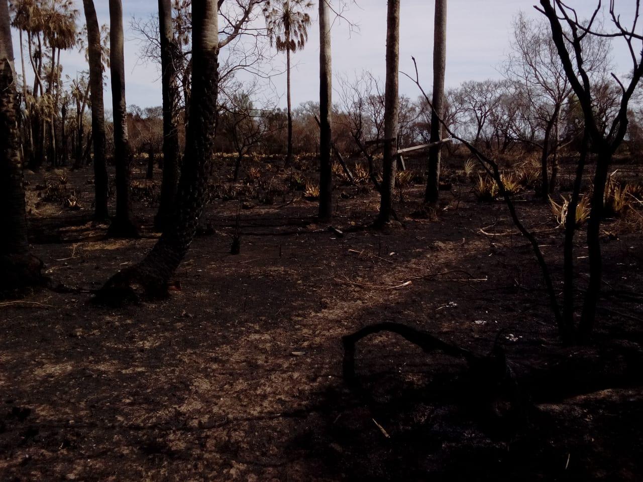 ed4f8ac8-8435-4155-8c6a-5a0ae9d94c46