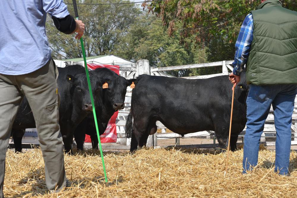 Expo Rural de San Justo_2