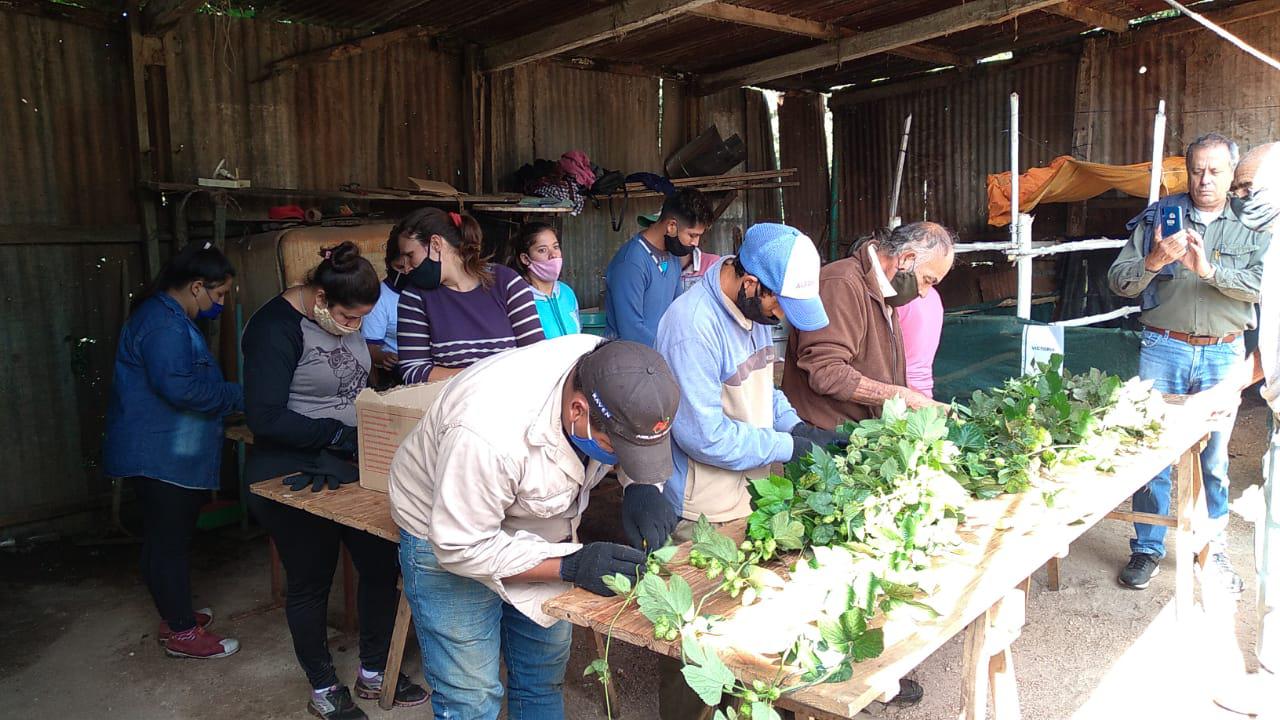 WhatsApp Image 2021-03-23 at 10.32.28