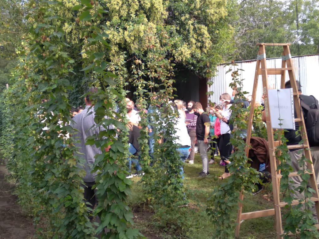 WhatsApp Image 2021-03-23 at 10.13.13