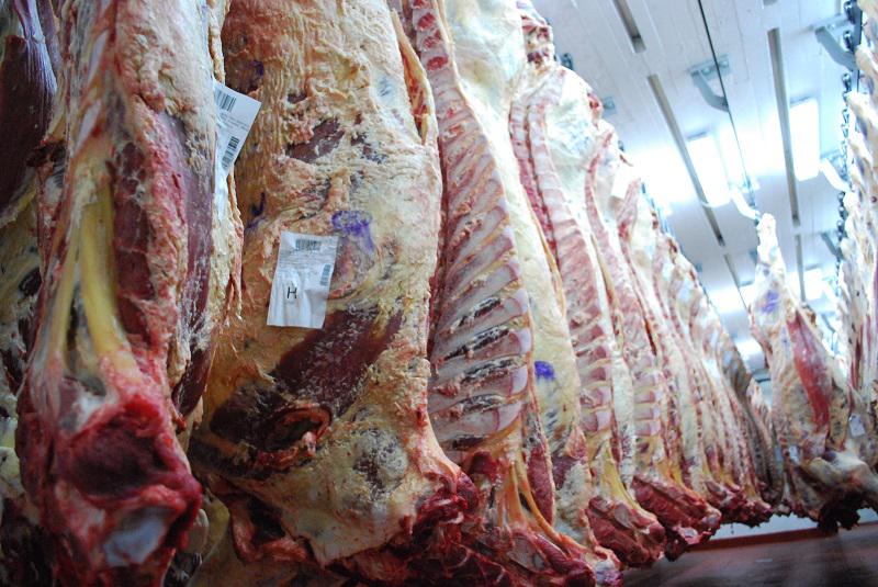 carne1