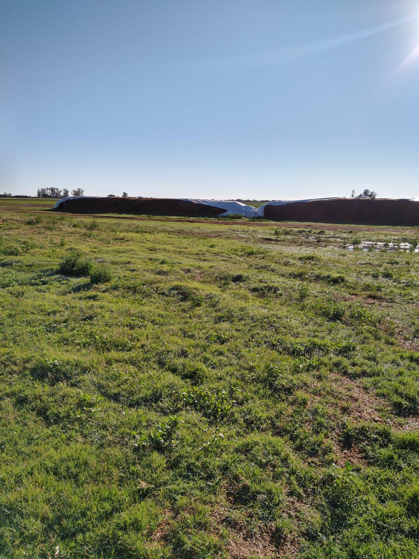 WhatsApp Image 2020-10-27 at 21.33.46