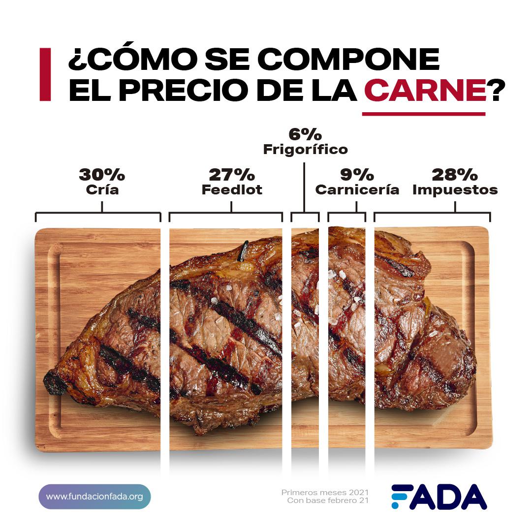 Info-CARNE-Redes