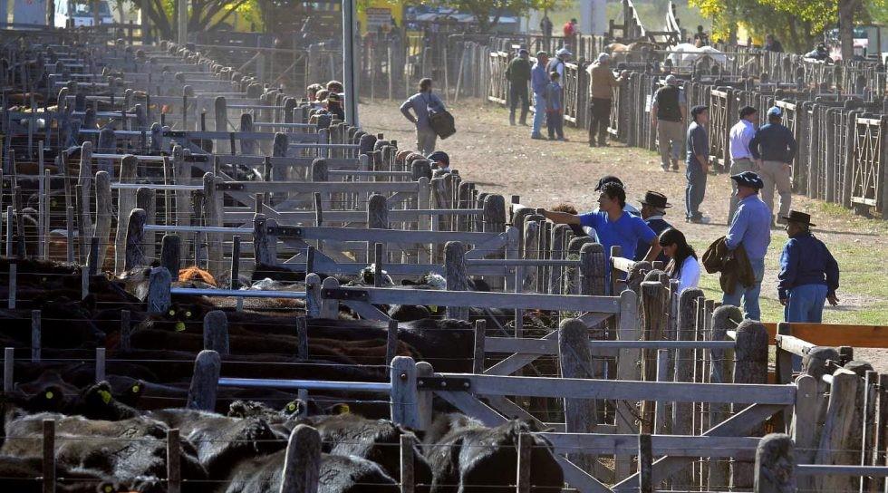 remate-feria