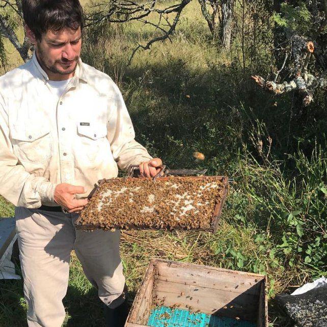 san-salvador-leonardo-litvinoffjpg