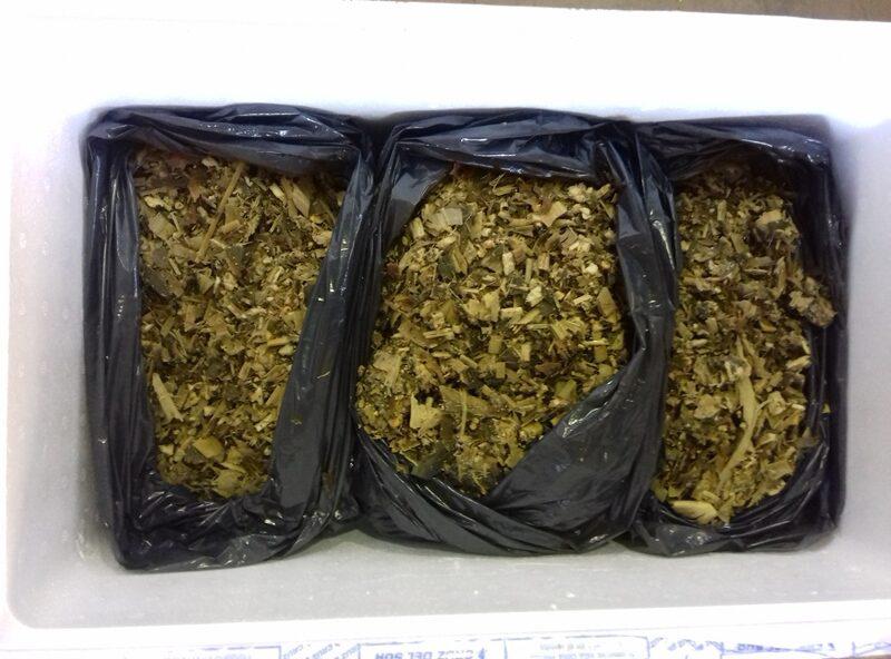 bioinoculante-1-e1650462995570