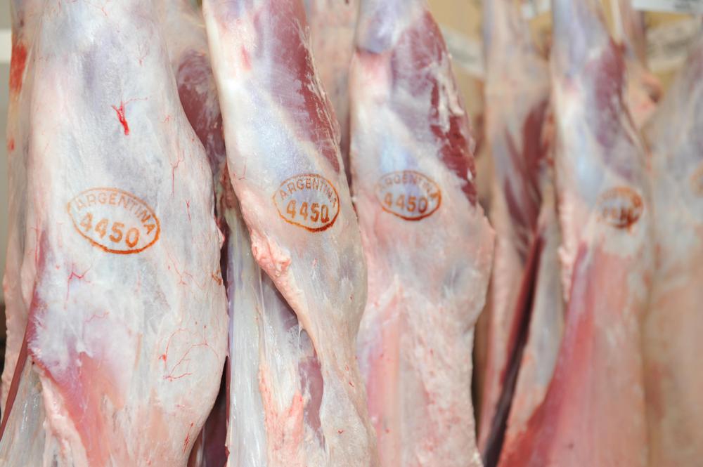INTA_Informa_Carnes-21