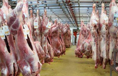 carne-400x259