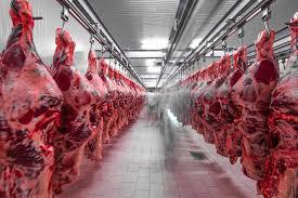 carne1