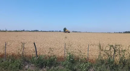 Sin título