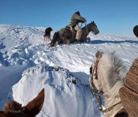 WhatsApp Image 2020-07-26 at 15.57.49