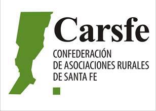 multimedia.miniatura.82dc5bd8016cee70.6361727366655f6d696e6961747572612e6a7067