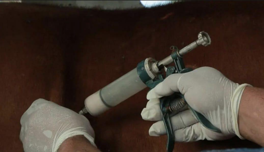 2023-10-09NID_279179O_1