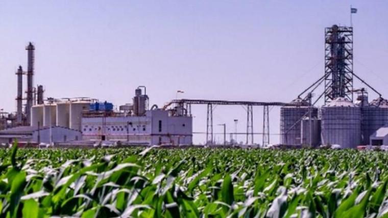 biocombustibles_crop1620420957934.jpg_1572130063