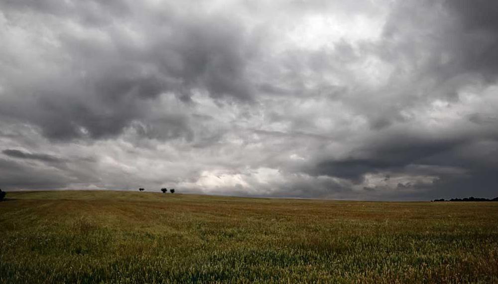 lluvias-campo-1000x600_0